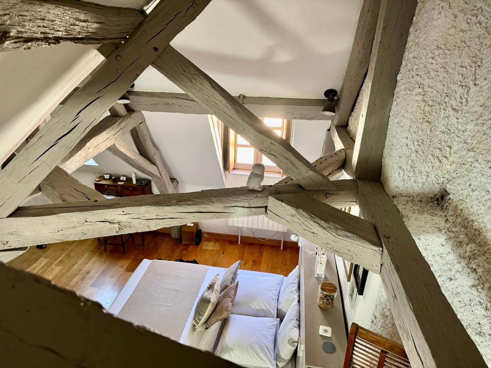 Le Relais Des Ducs : Centre Historique Dijon Apartment Bagian luar foto